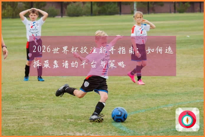 2026世界杯投注新手指南：如何选择最靠谱的平台与策略