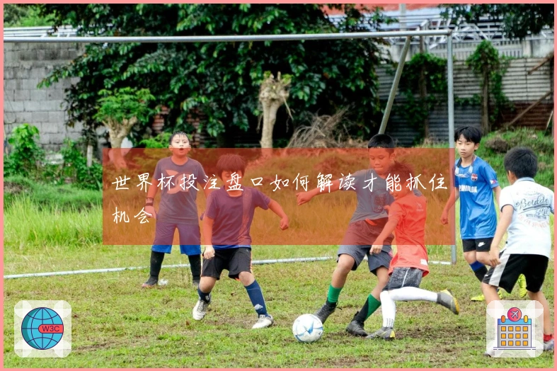 世界杯投注盘口如何解读才能抓住机会