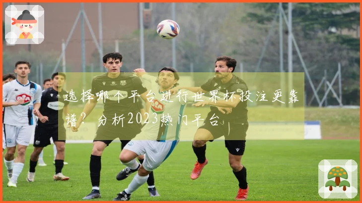 选择哪个平台进行世界杯投注更靠谱？分析2023热门平台