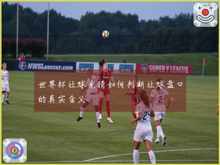 世界杯让球竞猜如何判断让球盘口的真实含义