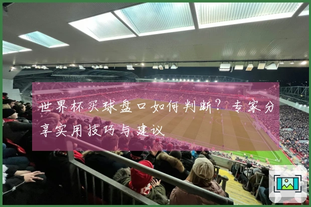 世界杯买球盘口如何判断？专家分享实用技巧与建议