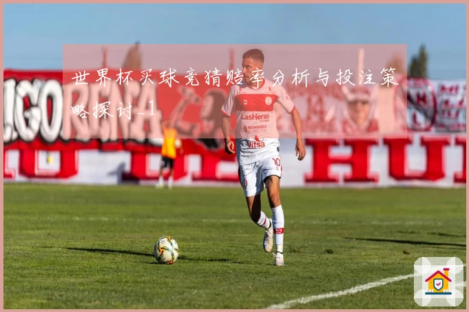 世界杯买球竞猜赔率分析与投注策略探讨_1