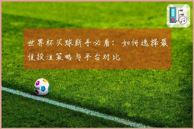 世界杯买球新手必看：如何选择最佳投注策略与平台对比