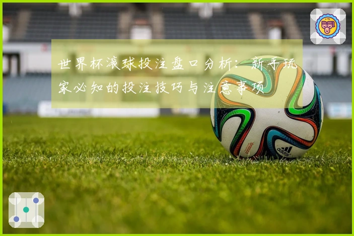 世界杯滚球投注盘口分析：新手玩家必知的投注技巧与注意事项